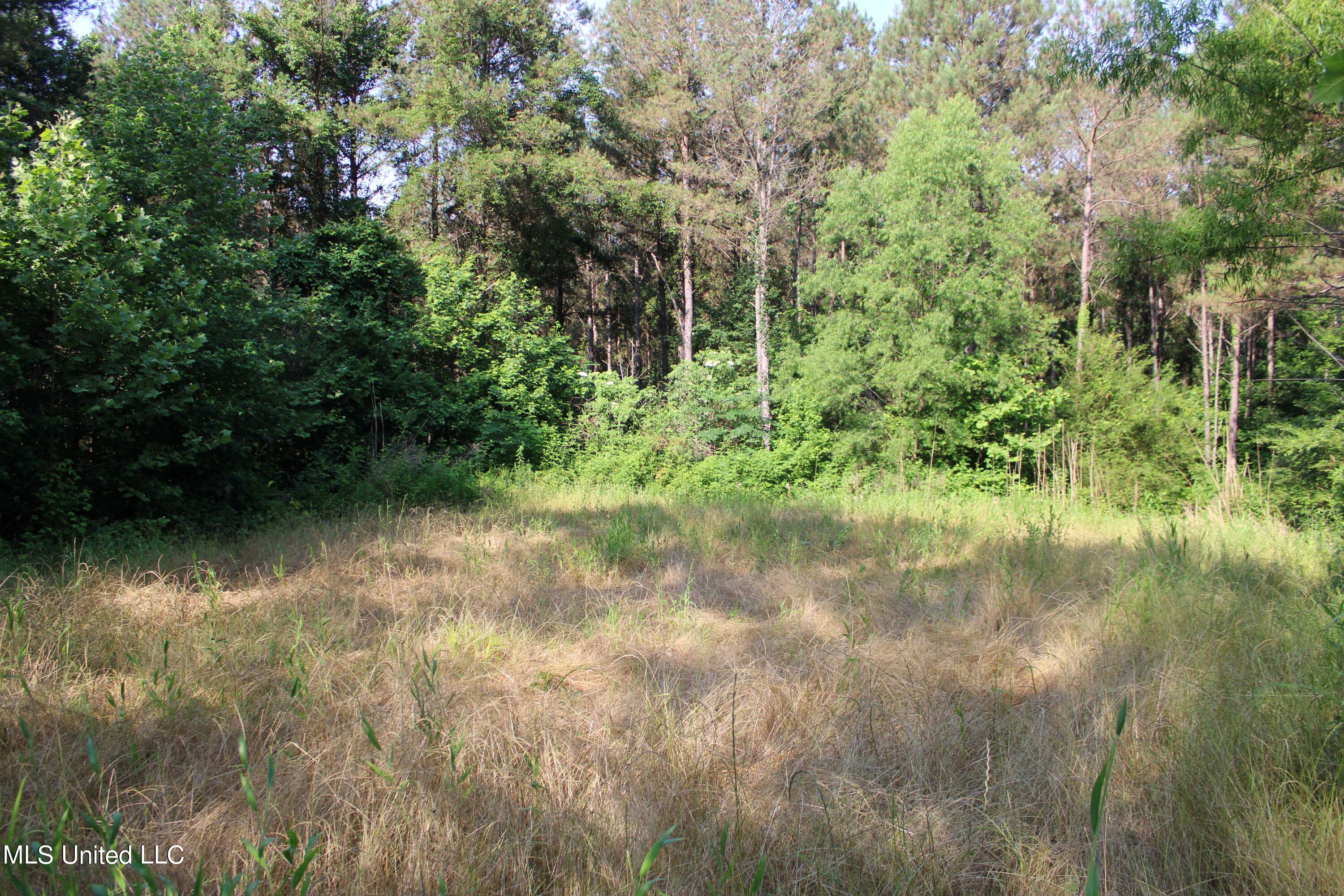 227 County Road Coffeeville, MS 38922 - Photo 6 of 7 IMG_0603