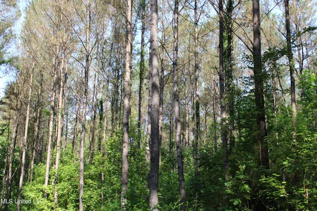 $102,380 | 227 County Road, Coffeeville, MS 38922