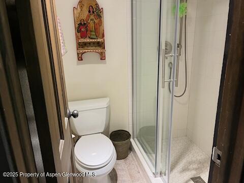 162 Bennett Bench Road Aspen, CO 81612 - Photo 26 of 46 a bathroom with a toilet and a shower