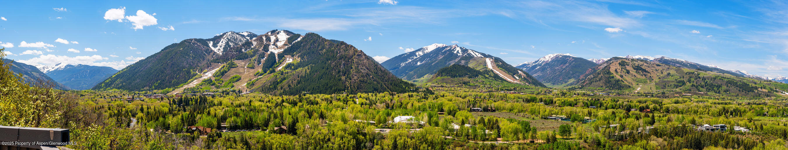 162 Bennett Bench Road Aspen, CO 81612 - Photo 36 of 46 a close up of a plant in a garden