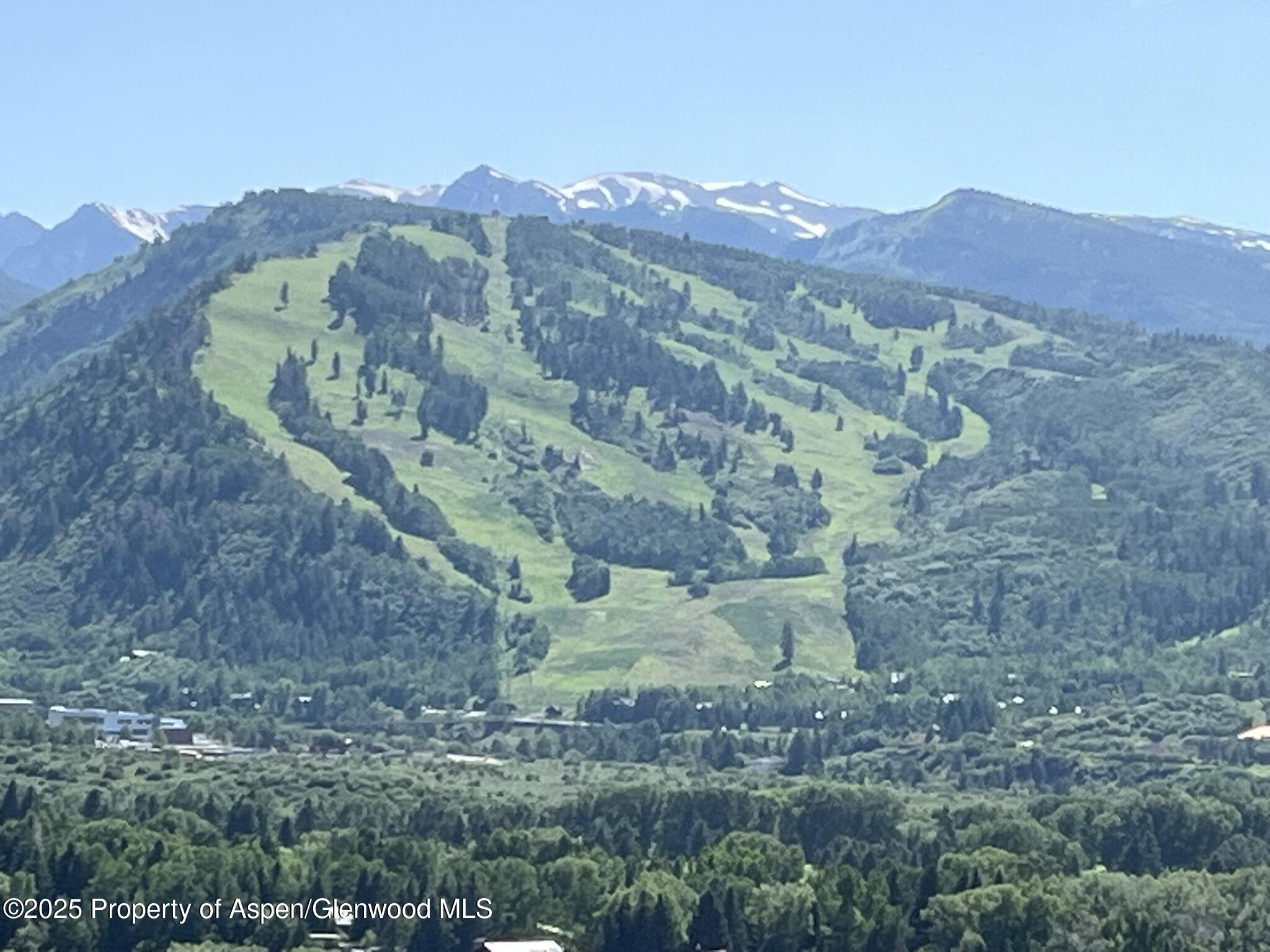 162 Bennett Bench Road Aspen, CO 81612 - Photo 39 of 46 a view of a forest with mountains in the background