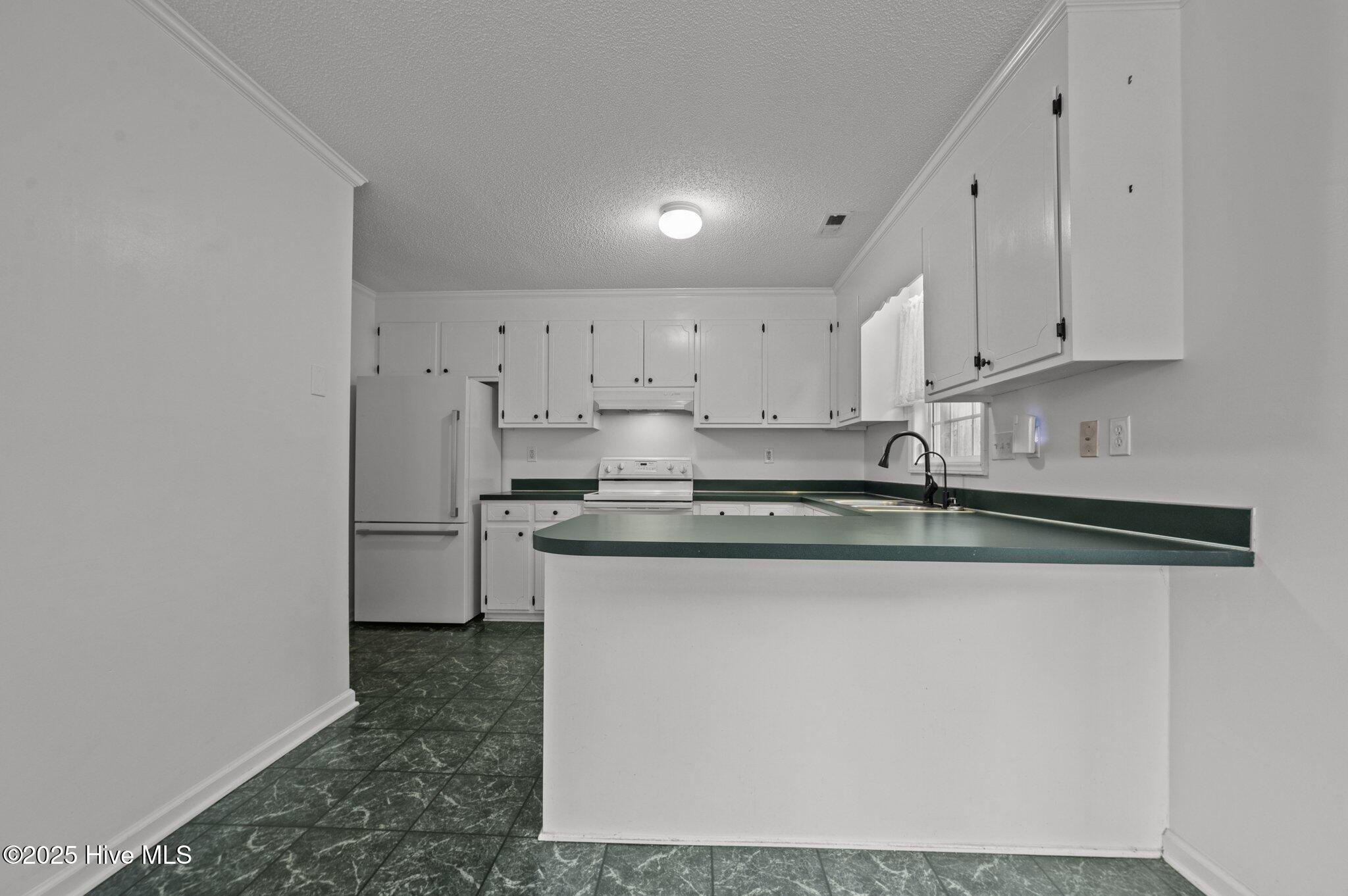 1005 Spring Forest Road, Unit G6 Greenville, NC 27834 - Photo 21 of 46 21-web-or-mls-LHV_1972