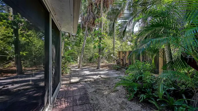 a view of a garden with plants