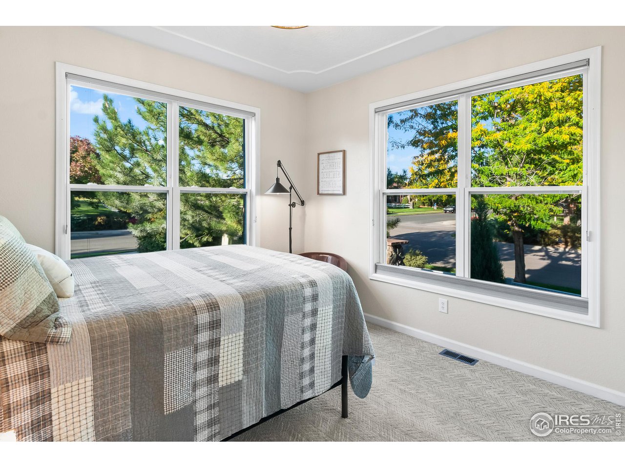 301 Pelican Cove Windsor, CO 80550 - Photo 17 of 38 a bed sitting in a bedroom next to a window