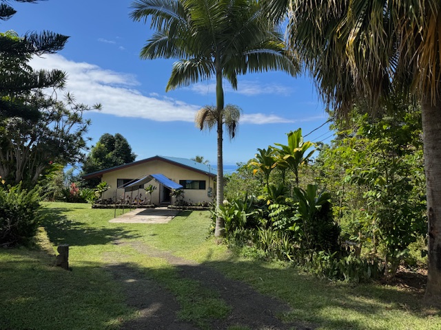 a view of a swimming pool with a garden
