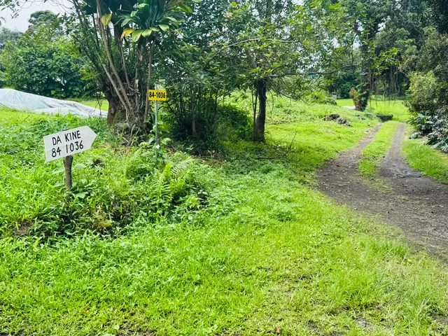 a view of backyard with green space