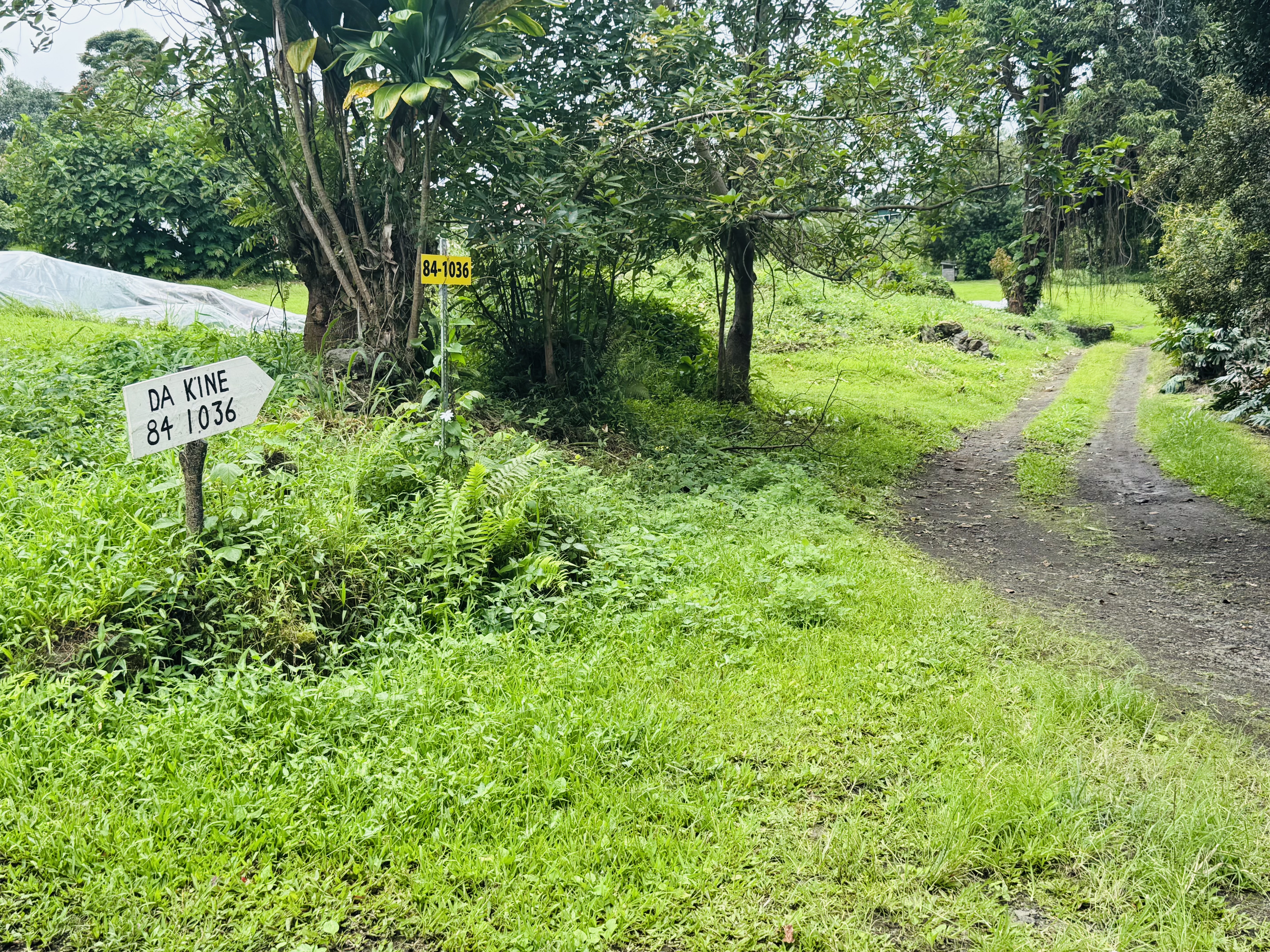 84-1164 Bruner Road Captain Cook, HI 96704 - Photo 2 of 13 a view of backyard with green space
