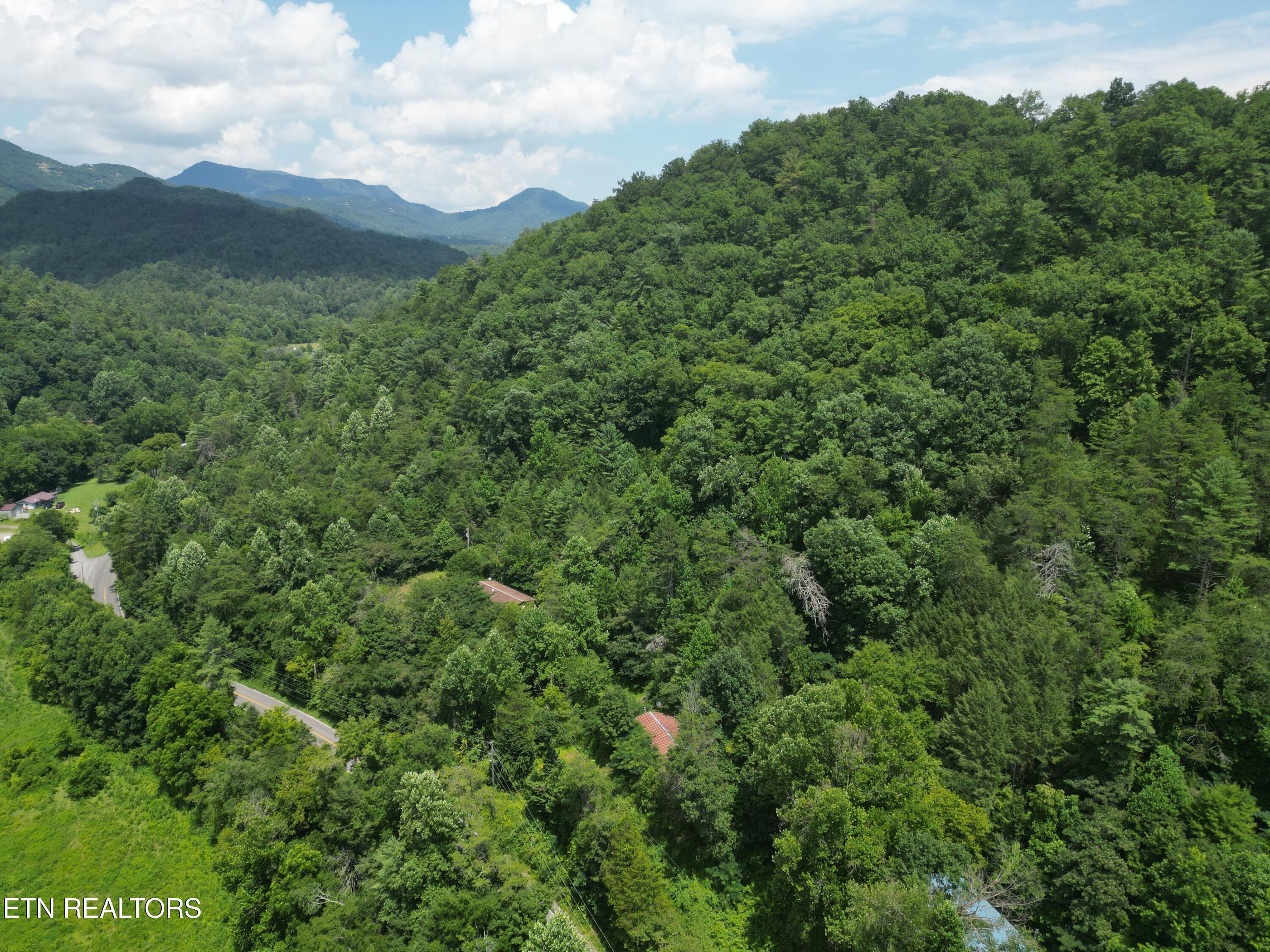 3576 Wilhite Road Pigeon Forge, TN 37876 - Photo 3 of 13 Wilhite 2