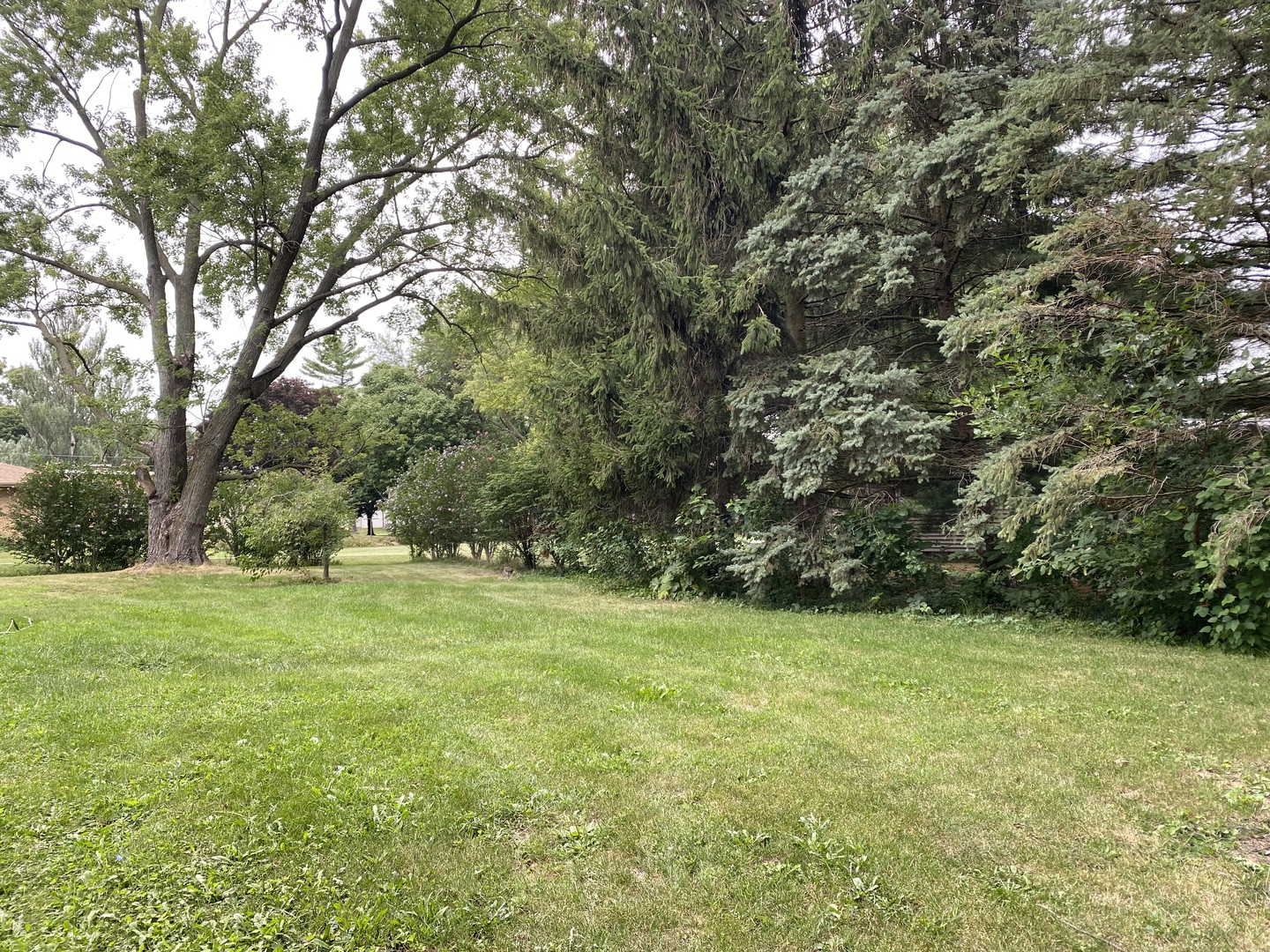 601 East Plumb Street Ransom, IL 60470 - Photo 19 of 21 a view of an outdoor space and a yard