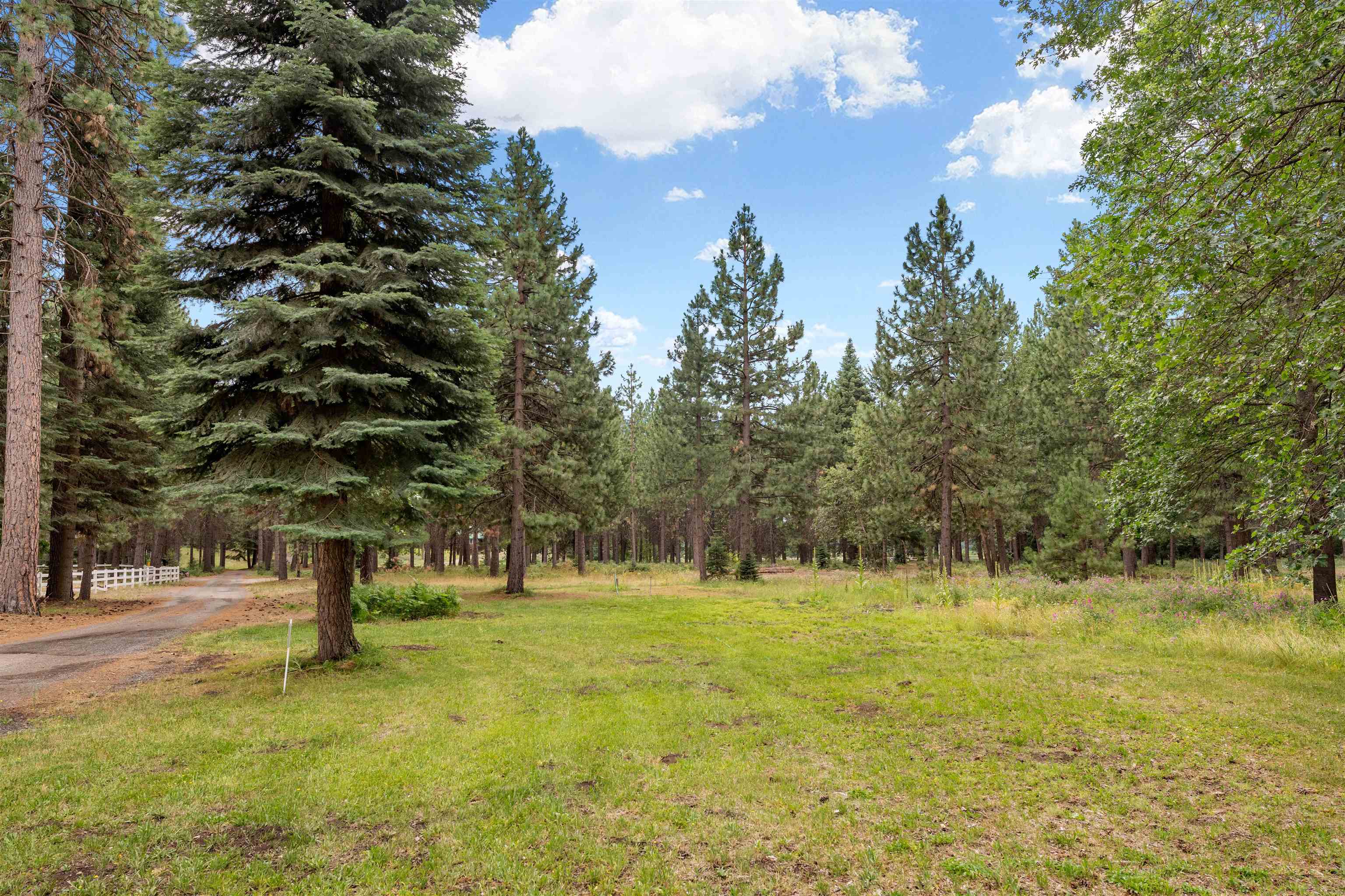 Lot C Red Cloud Rnch Road McCloud, CA 96057 - Photo 6 of 21 Gallery Image 6