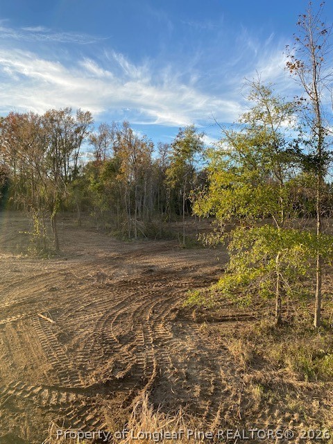 1634 Sweetie Road Fayetteville, NC 28312 - Photo 20 of 26 Pic from when cleared a few years ago