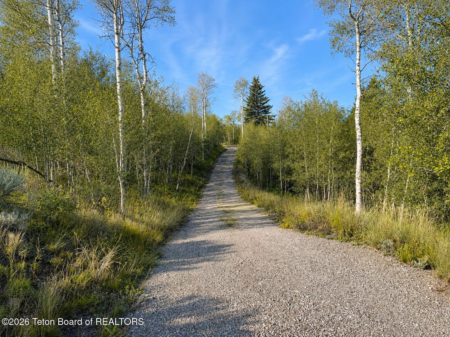 Riva Ridge Road Jackson, WY 83001 - Photo 10 of 16 Driveway to homesite