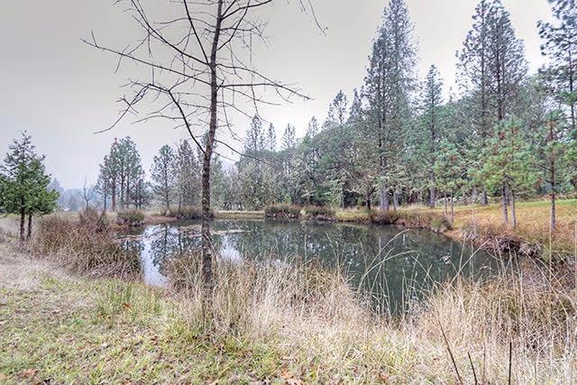 6000 Tunnel Loop Road Grants Pass, OR 97526 - Photo 33 of 33 Additional Photo