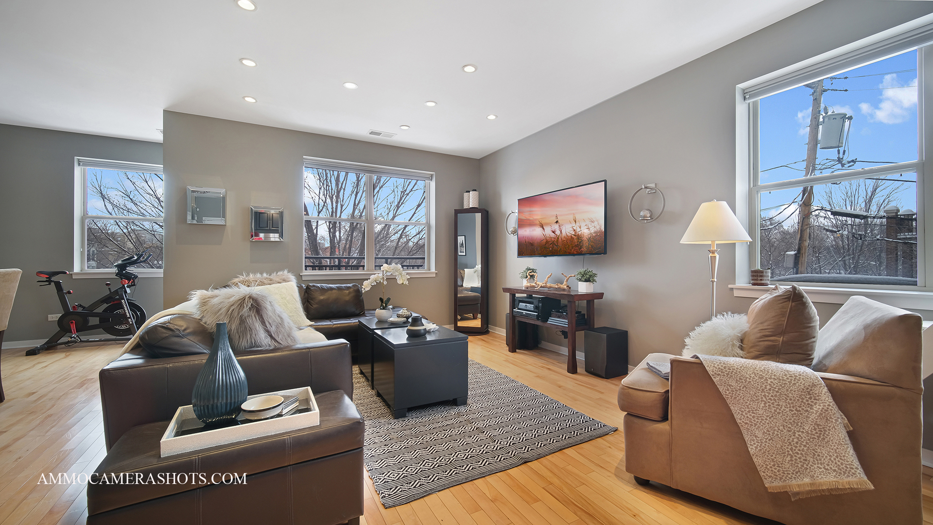 925 South Lytle Street, Unit A Chicago, IL 60607 - Photo 14 of 41 a living room with furniture and a flat screen tv