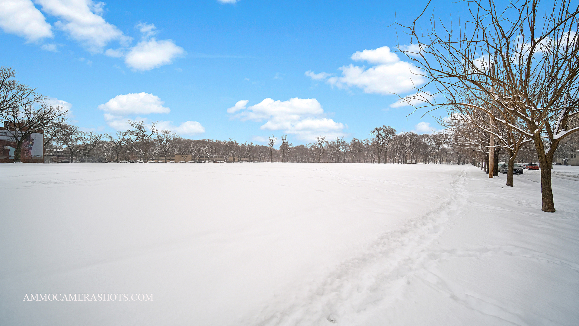 925 South Lytle Street, Unit A Chicago, IL 60607 - Photo 41 of 41 a picture of a city view