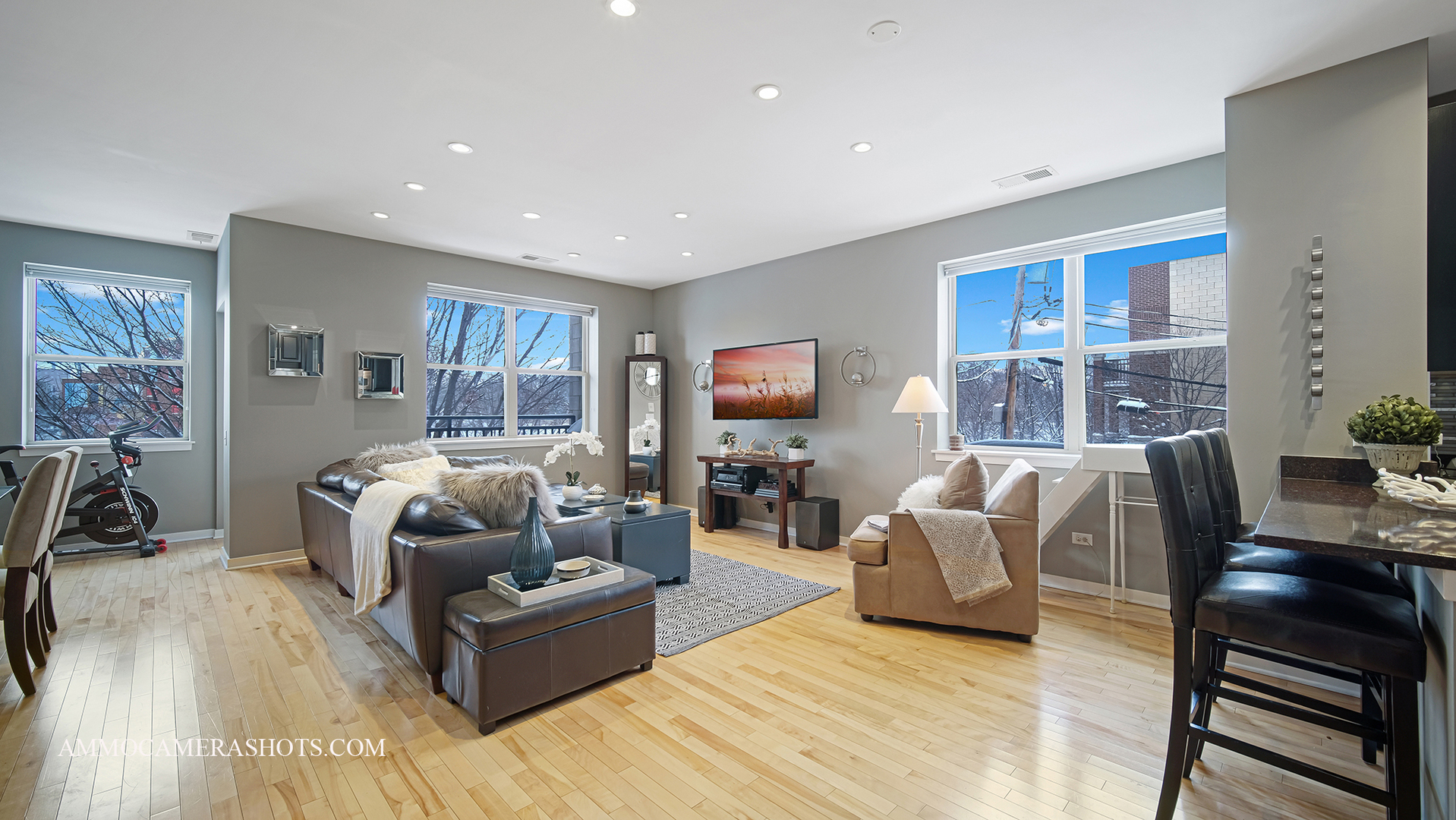 925 South Lytle Street, Unit A Chicago, IL 60607 - Photo 6 of 41 a living room with furniture and a flat screen tv