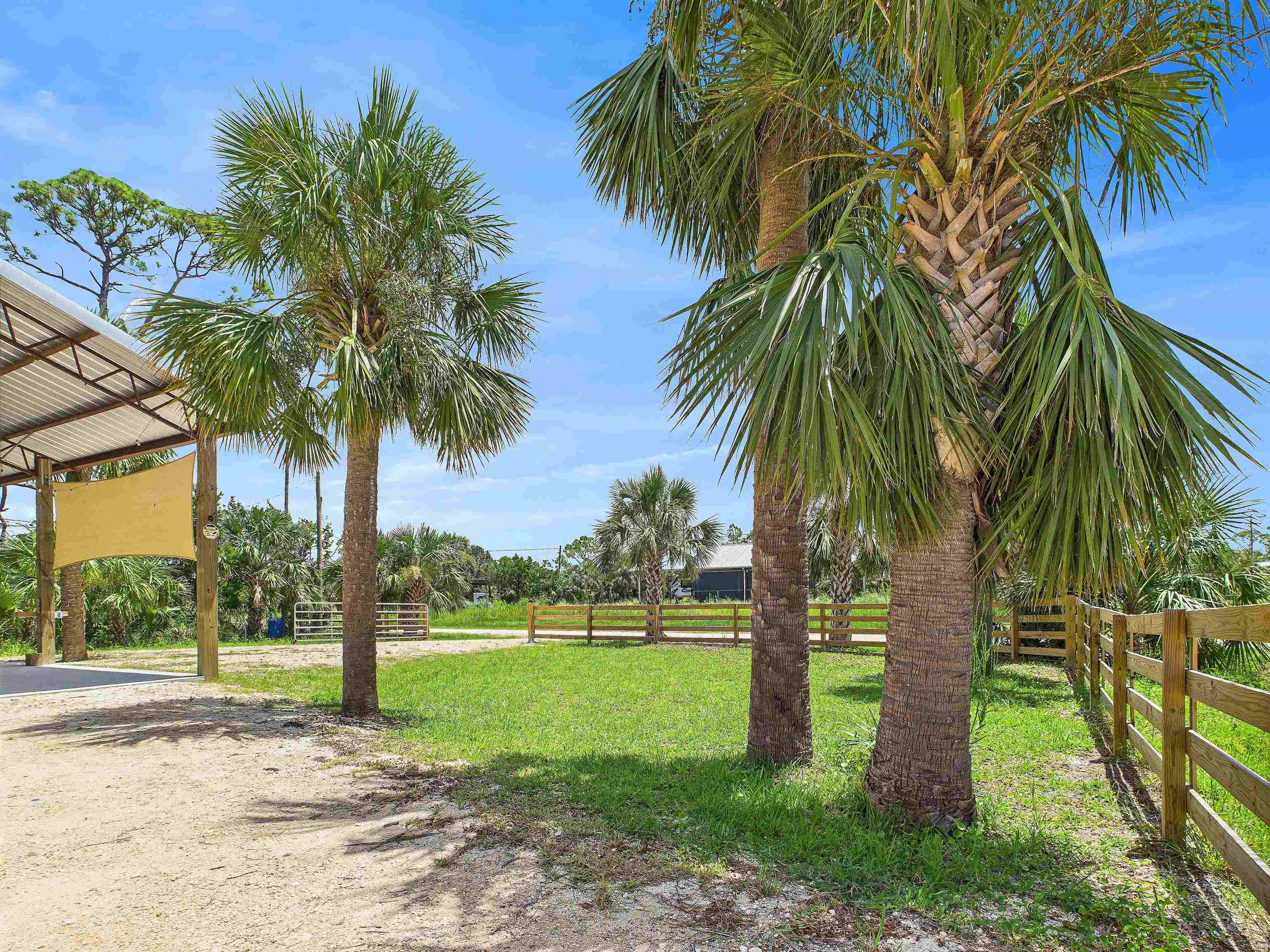 350 Cedar Island Road Perry, FL 32348 - Photo 5 of 7
