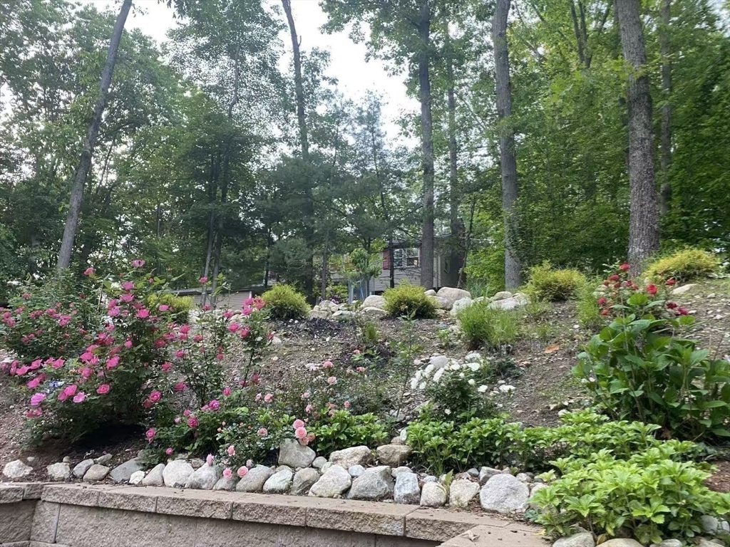 29 Dewey Road Lexington, MA 02420 - Photo 35 of 37 Gallery Image 35