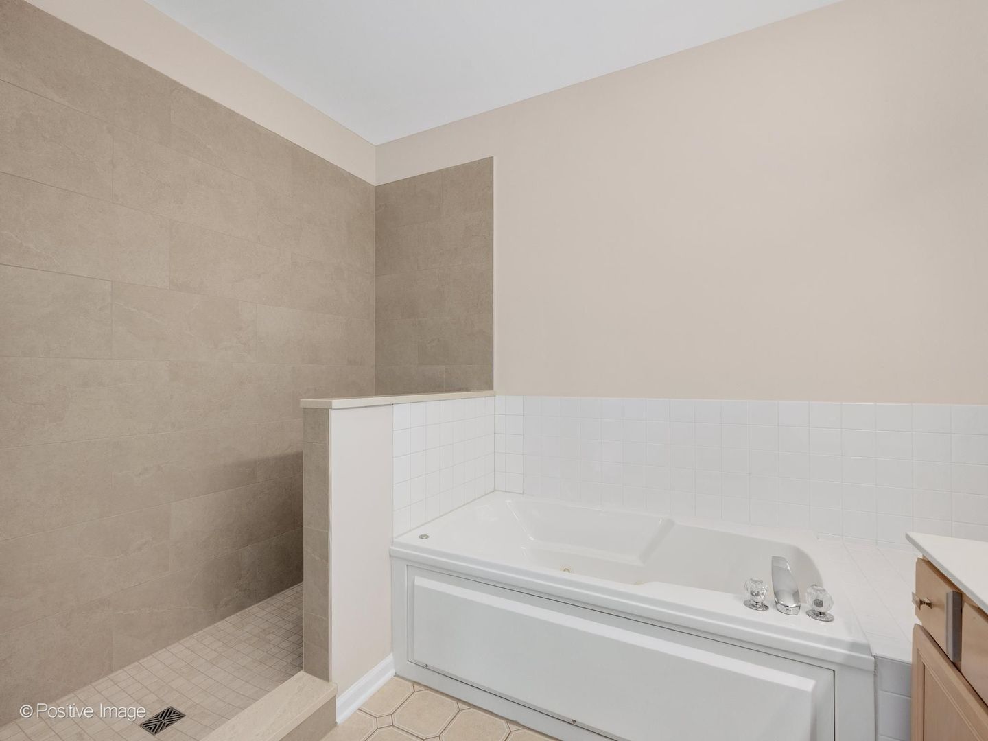 134 Chestnut Hills Circle Burr Ridge, IL 60527 - Photo 19 of 39 Gallery Image 19