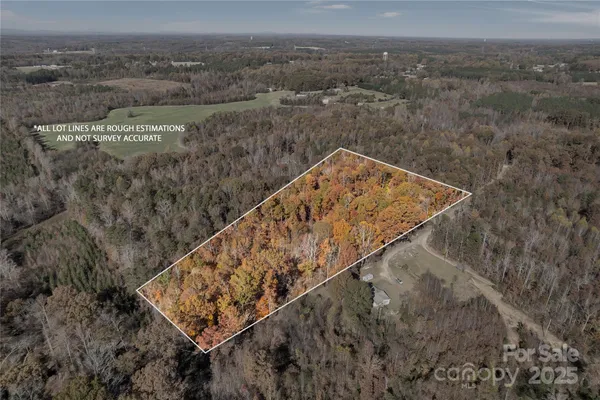 a view of a dry yard with trees