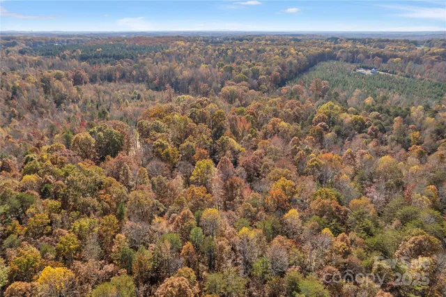 a view of city and green space
