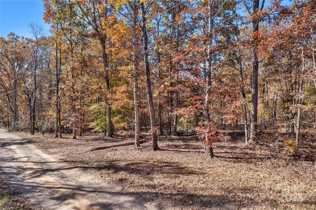 a backyard of a house with lots of trees