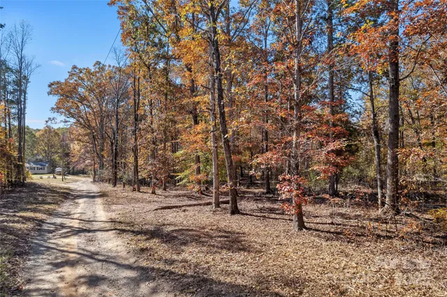 a view of a yard with trees