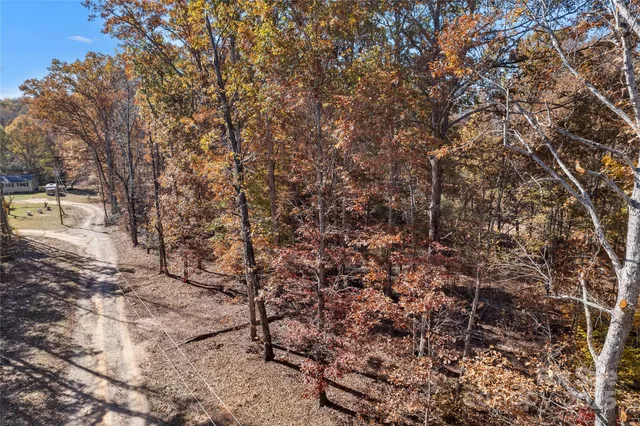 a view of a yard with a trees