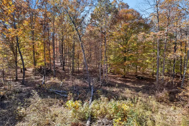a view of a yard with large trees