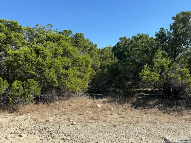 $52,000 | Lot 90 Deer Creek, Spring Branch, TX 78070