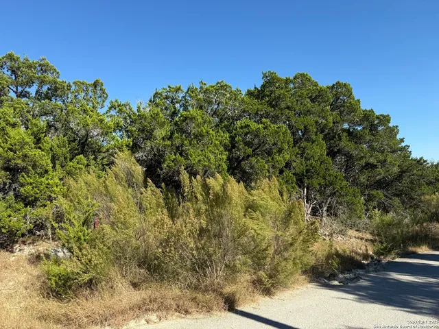 $52,000 | Lot 90 Deer Creek, Spring Branch, TX 78070