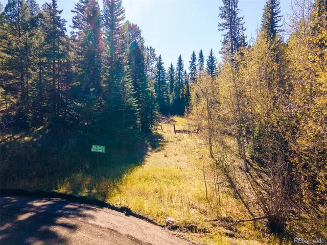 a yard with trees in the background