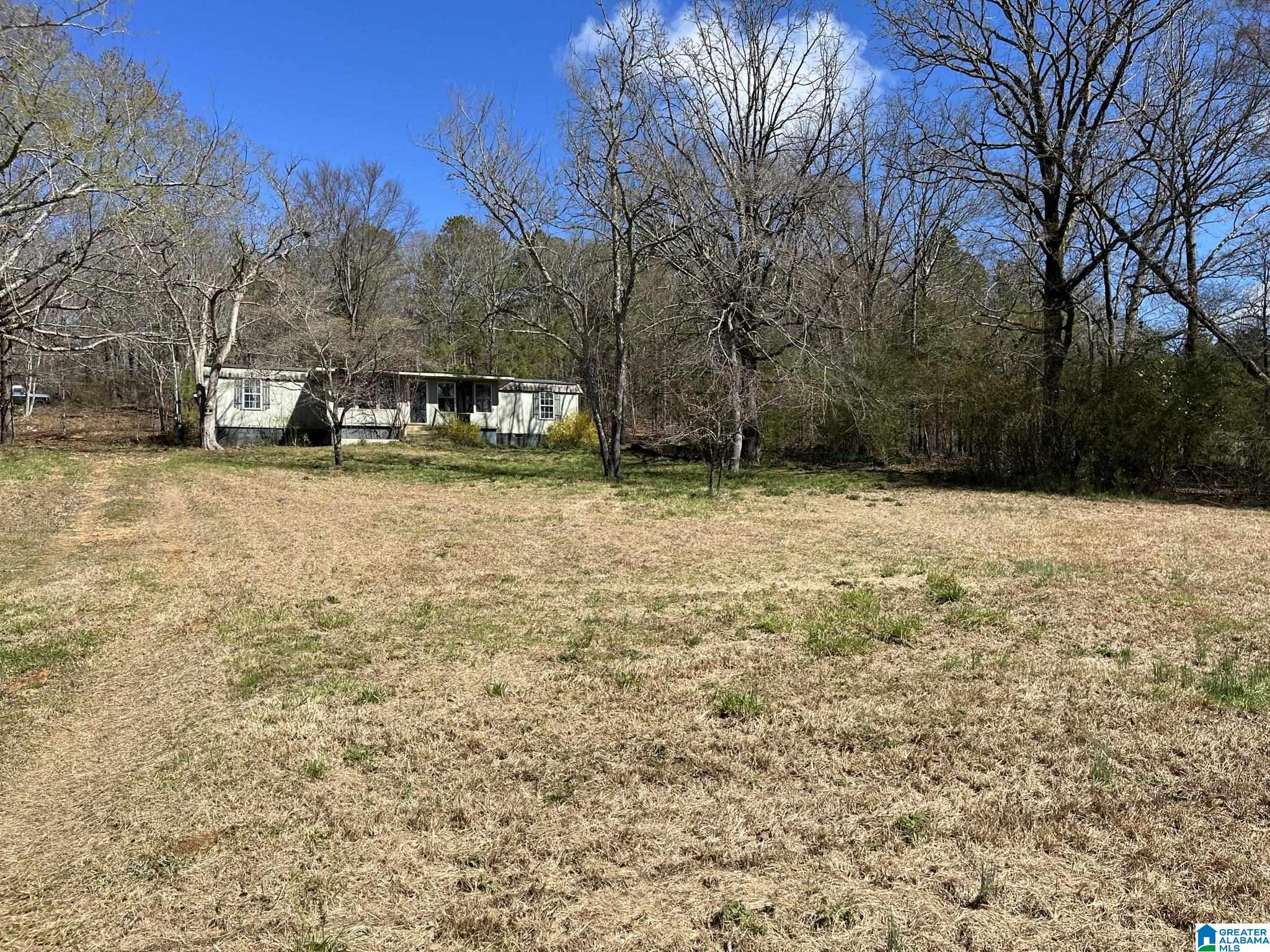 150 Wilson Mine Road, Unit 910 Piedmont, AL 36272 - Photo 3 of 36