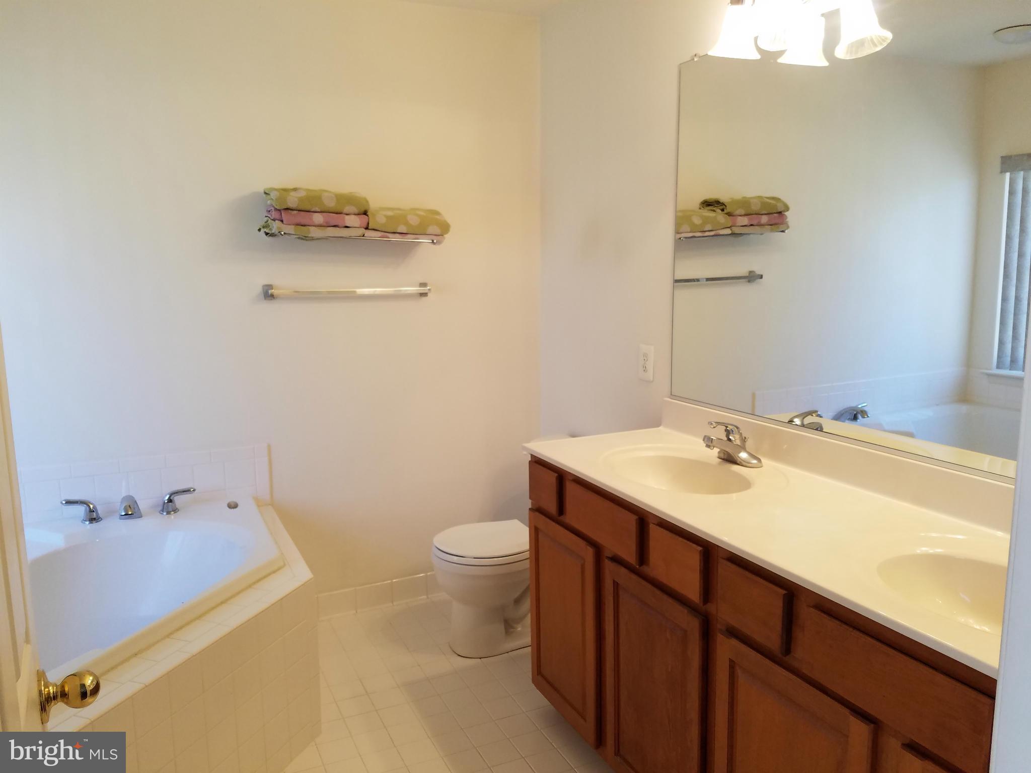 18722 Broken Oak Road Boyds, MD 20841 - Photo 17 of 30 Master bathroom with double vanity