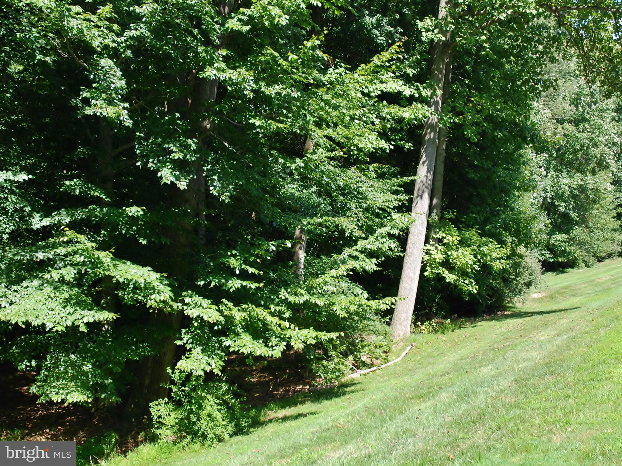 18722 Broken Oak Road Boyds, MD 20841 - Photo 30 of 30 Back Wood