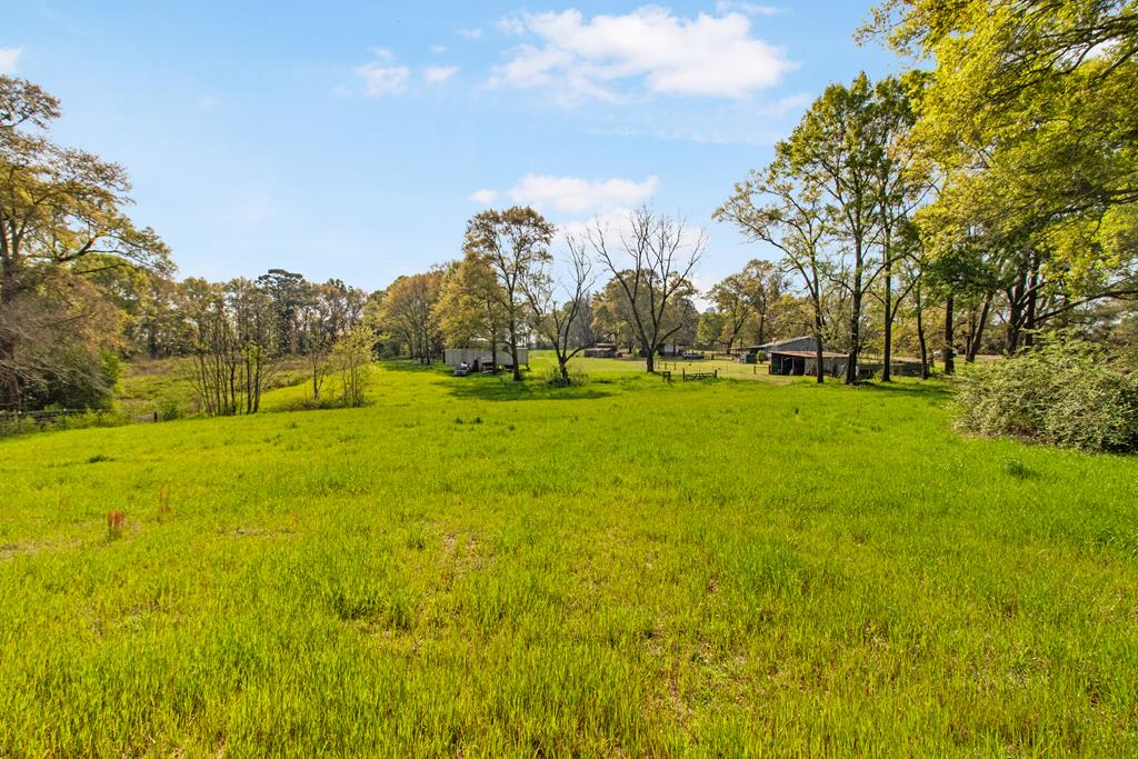 158 Brown Road Clio, AL 36017 - Photo 70 of 75