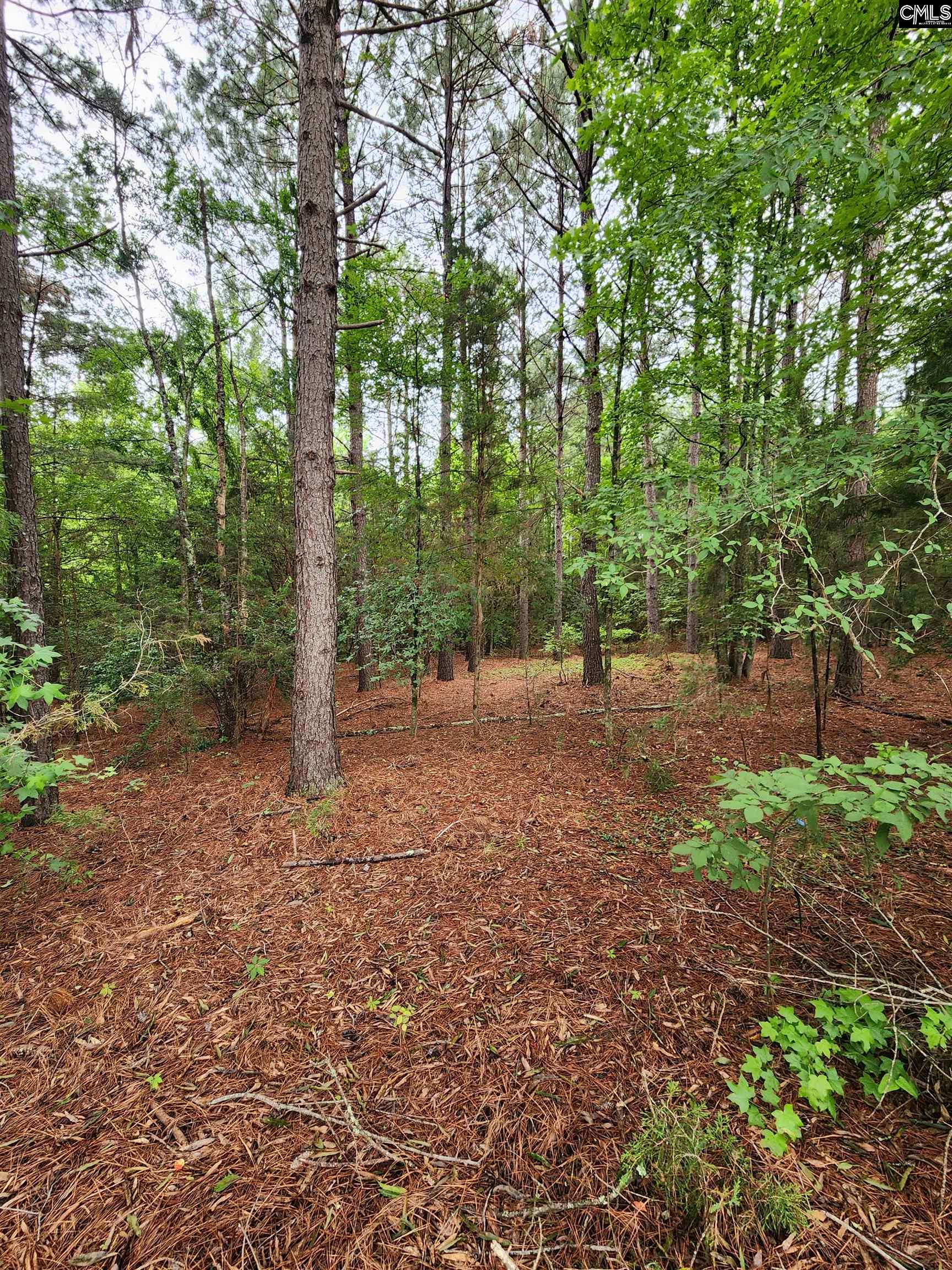 0 Elm Street Prosperity, SC 29127 - Photo 9 of 26
