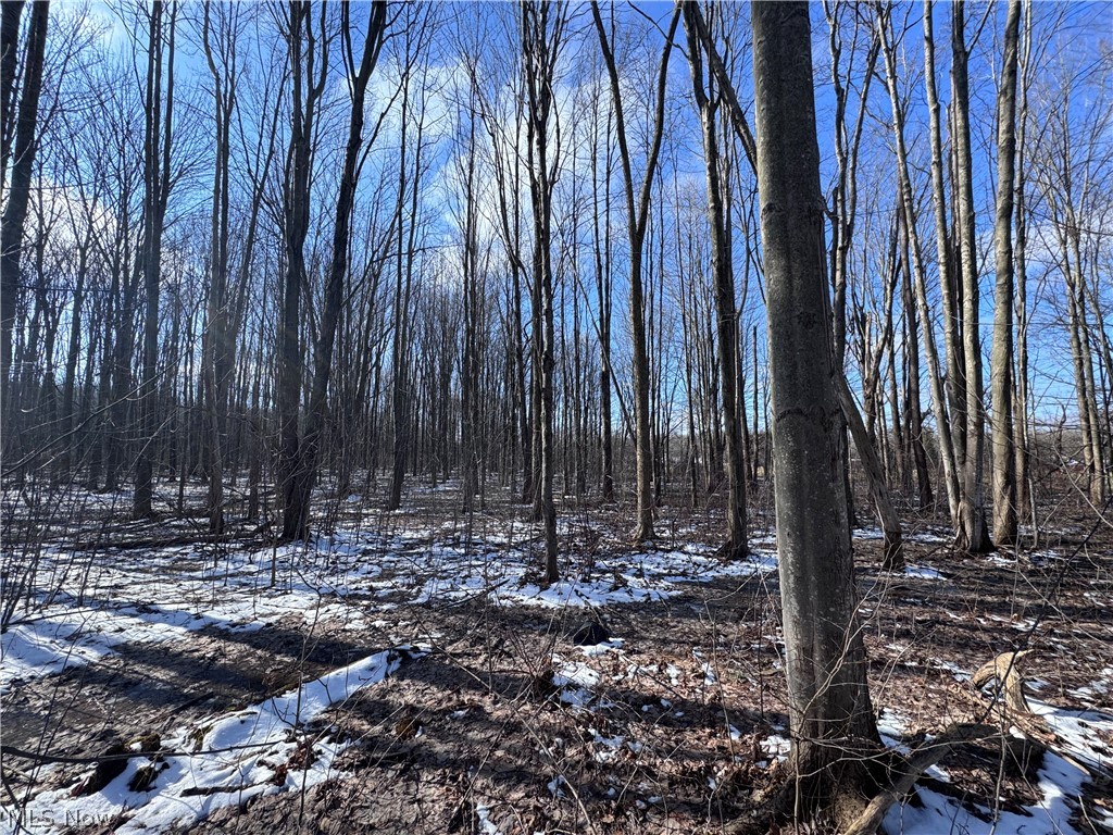 1 Leroy Center Road Painesville, OH 44077 - Photo 10 of 12