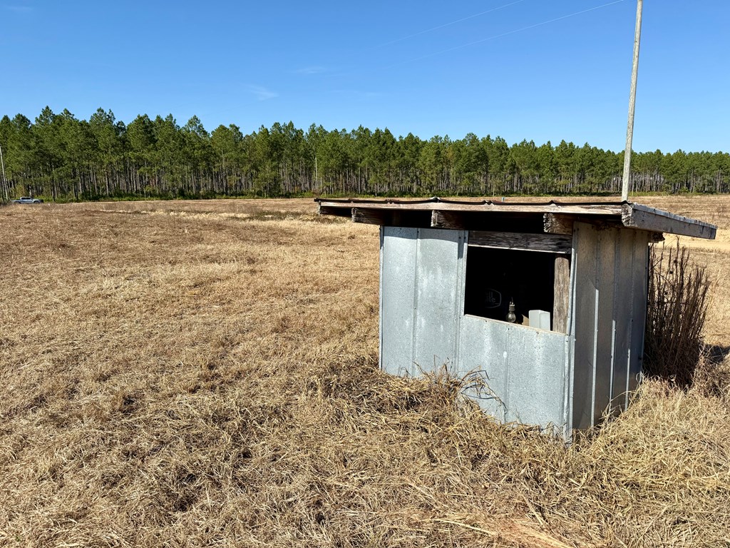 6.74-acres Huskey Road Dothan, AL 36303 - Photo 6 of 13