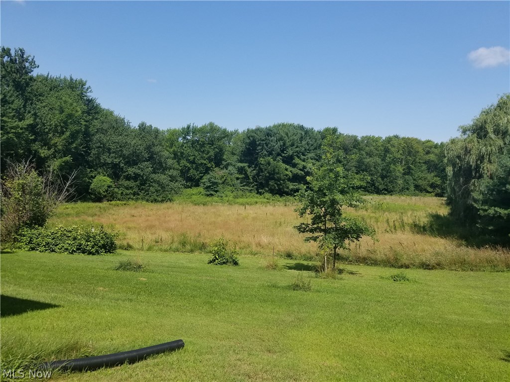 50226 Middle Ridge Road Amherst, OH 44001 - Photo 4 of 19