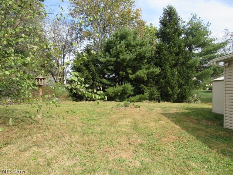 65 Beech Street Rittman, OH 44270 - Photo 14 of 17