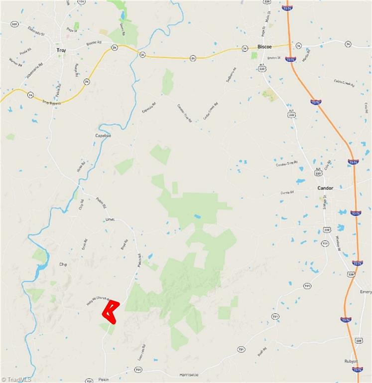 0 Pekin Road Mount Gilead, NC 27306 - Photo 8 of 8 Location map