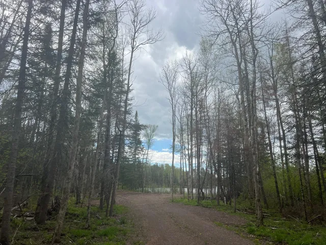 $99,900 | Tbd East Briar Lake Drive, Duluth, MN 55803