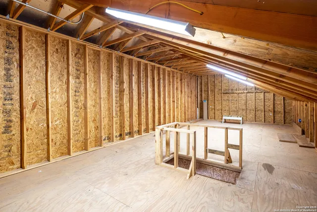 a view of a bunch of flowers