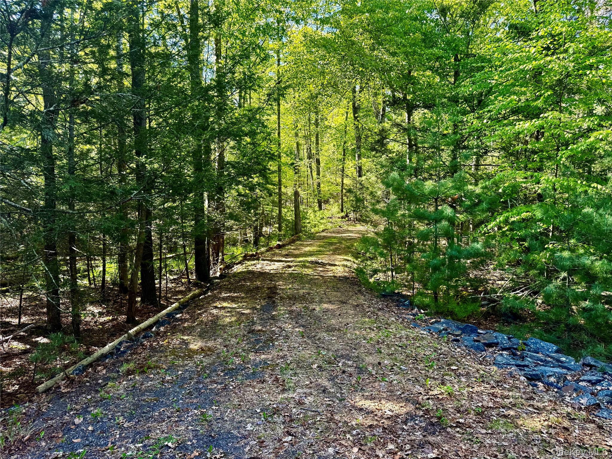 101 Stone Road Hurley, NY 12491 - Photo 12 of 24 a view of a yard with plants and trees