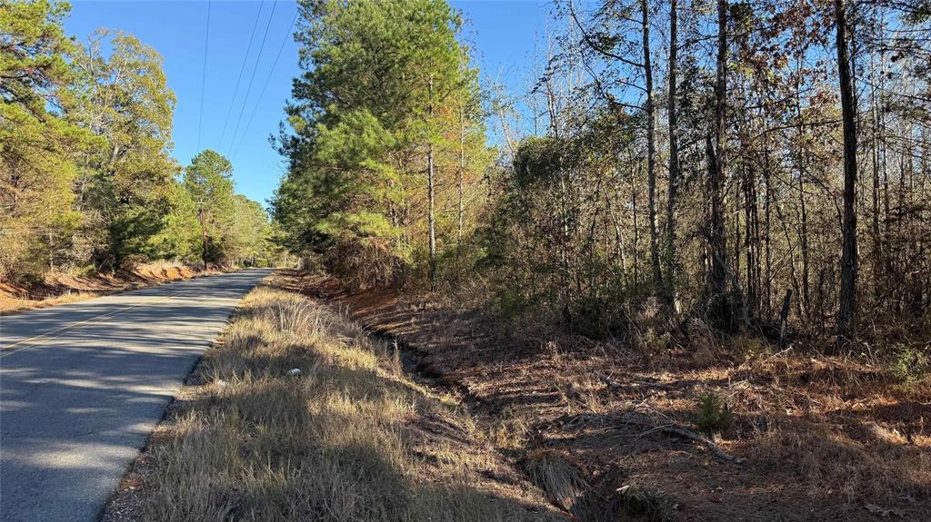 10719 Monterey School Road Vivian, LA 71082 - Photo 14 of 22