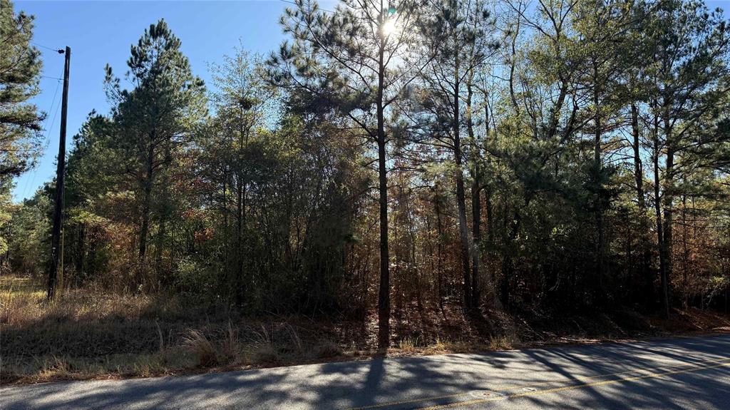 10719 Monterey School Road Vivian, LA 71082 - Photo 15 of 22