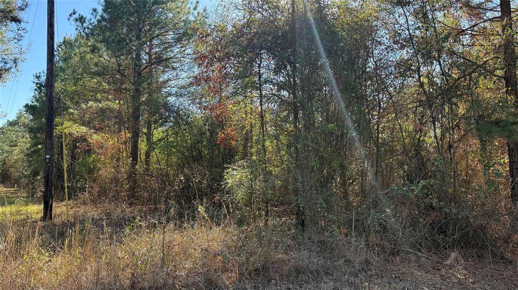 10719 Monterey School Road Vivian, LA 71082 - Photo 17 of 22