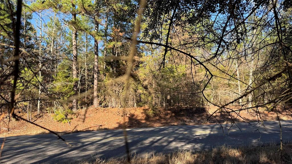 10719 Monterey School Road Vivian, LA 71082 - Photo 18 of 22