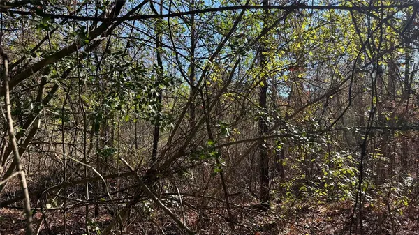 a view of a green field with lots of bushes